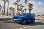 Skoda Kodiaq RS 2019 года (WW)